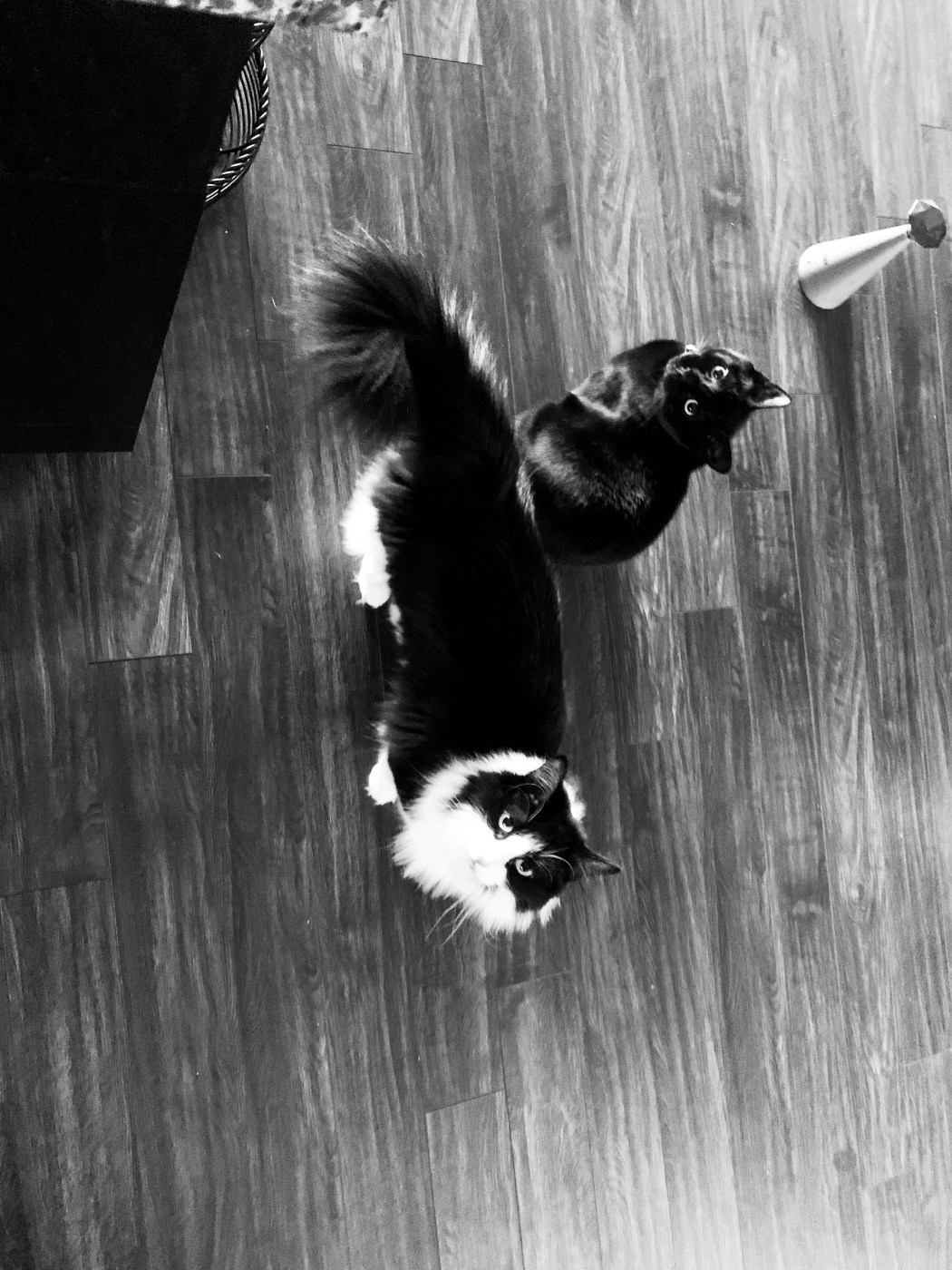 faa5ed17-5b86-4bac-a819-302ee5271890